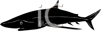 Fish and Sea Life Clipart