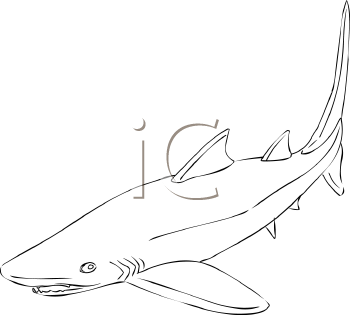 Fish and Sea Life Clipart