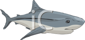 Fish and Sea Life Clipart