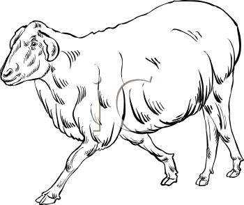 Farm Animal Clipart
