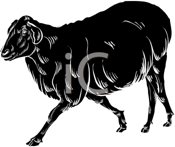 Farm Animal Clipart