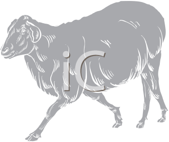 Farm Animal Clipart