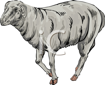 Farm Animal Clipart
