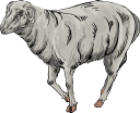 Farm Animal Clipart
