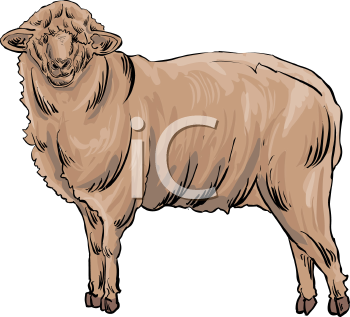 Farm Animal Clipart