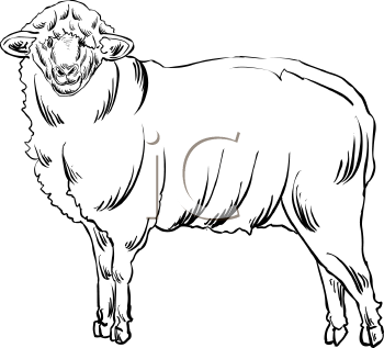 Farm Animal Clipart