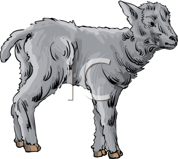 Farm Animal Clipart