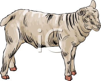 Farm Animal Clipart