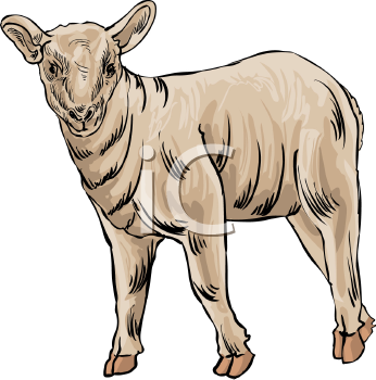 Farm Animal Clipart