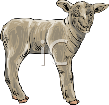 Farm Animal Clipart