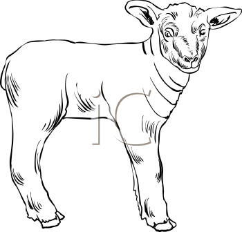 Farm Animal Clipart