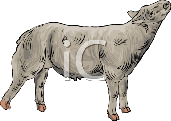 Farm Animal Clipart