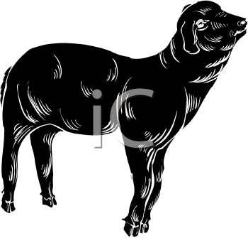 Farm Animal Clipart