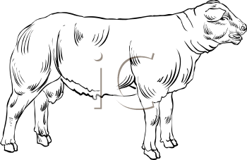 Farm Animal Clipart