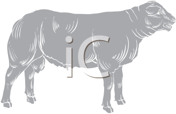 Farm Animal Clipart
