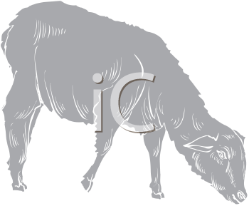 Farm Animal Clipart