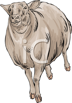 Farm Animal Clipart