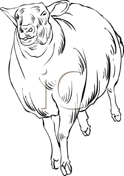 Farm Animal Clipart