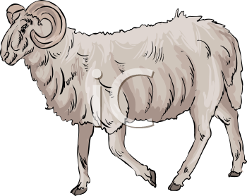 Farm Animal Clipart