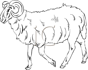 Farm Animal Clipart