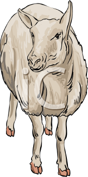 Farm Animal Clipart