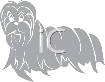 Pet Clipart