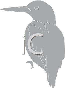 Bird Clipart