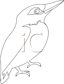 Bird Clipart