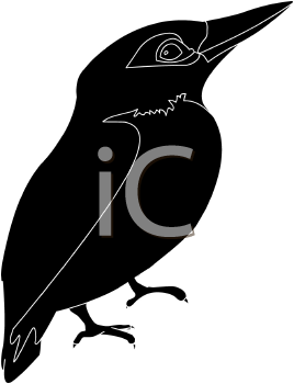 Bird Clipart