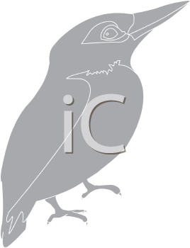 Bird Clipart