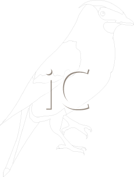 Bird Clipart