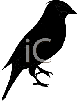 Bird Clipart