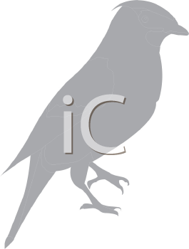 Bird Clipart