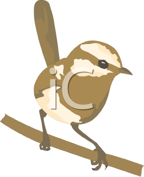 Bird Clipart