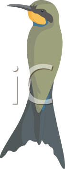 Bird Clipart