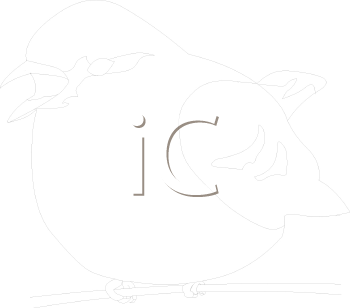 Bird Clipart