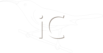 Bird Clipart