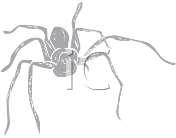 Arachnid Clipart