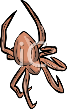 Arachnid Clipart