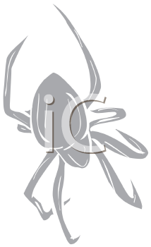 Arachnid Clipart