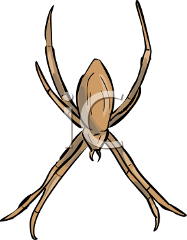 Arachnid Clipart