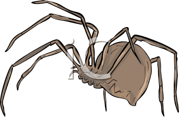 Arachnid Clipart