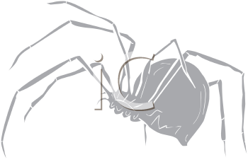 Arachnid Clipart