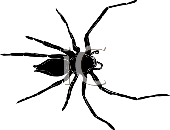 Arachnid Clipart