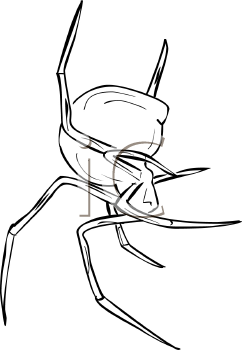 Arachnid Clipart