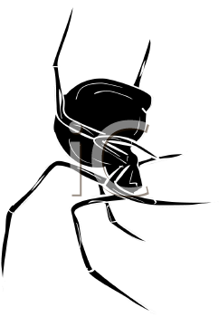 Arachnid Clipart
