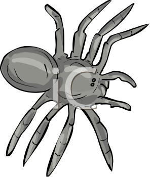 Arachnid Clipart