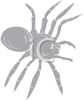 Arachnid Clipart