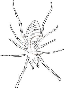 Arachnid Clipart