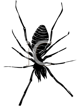 Arachnid Clipart